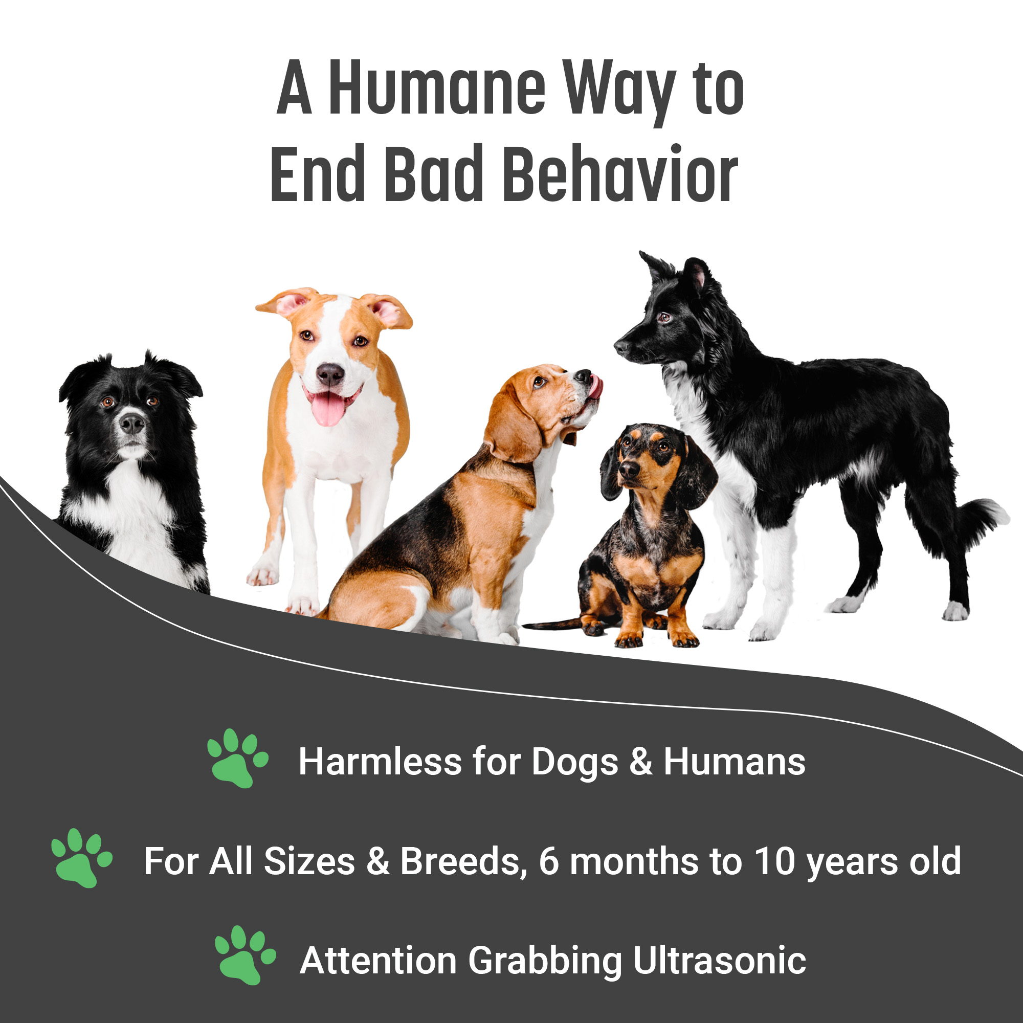 Five dog breeds with a note that the ultrasonic trainer is harmless for dogs and humans and works on all sizes and breeds